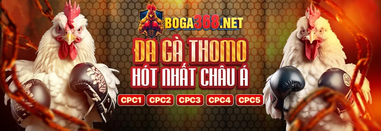 Sân đấu đá gà trực tuyến kịch tính tại n88 khuyến mãi
